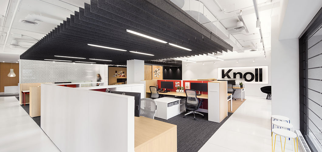 Burovision Project Profiles Knoll